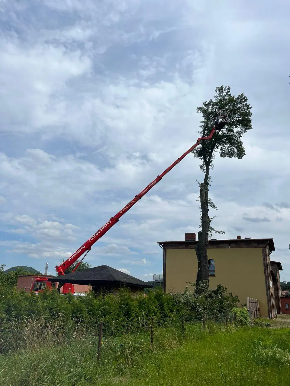 Baum neben einem Wohnhaus wird mit der Hebebühne abgetragen