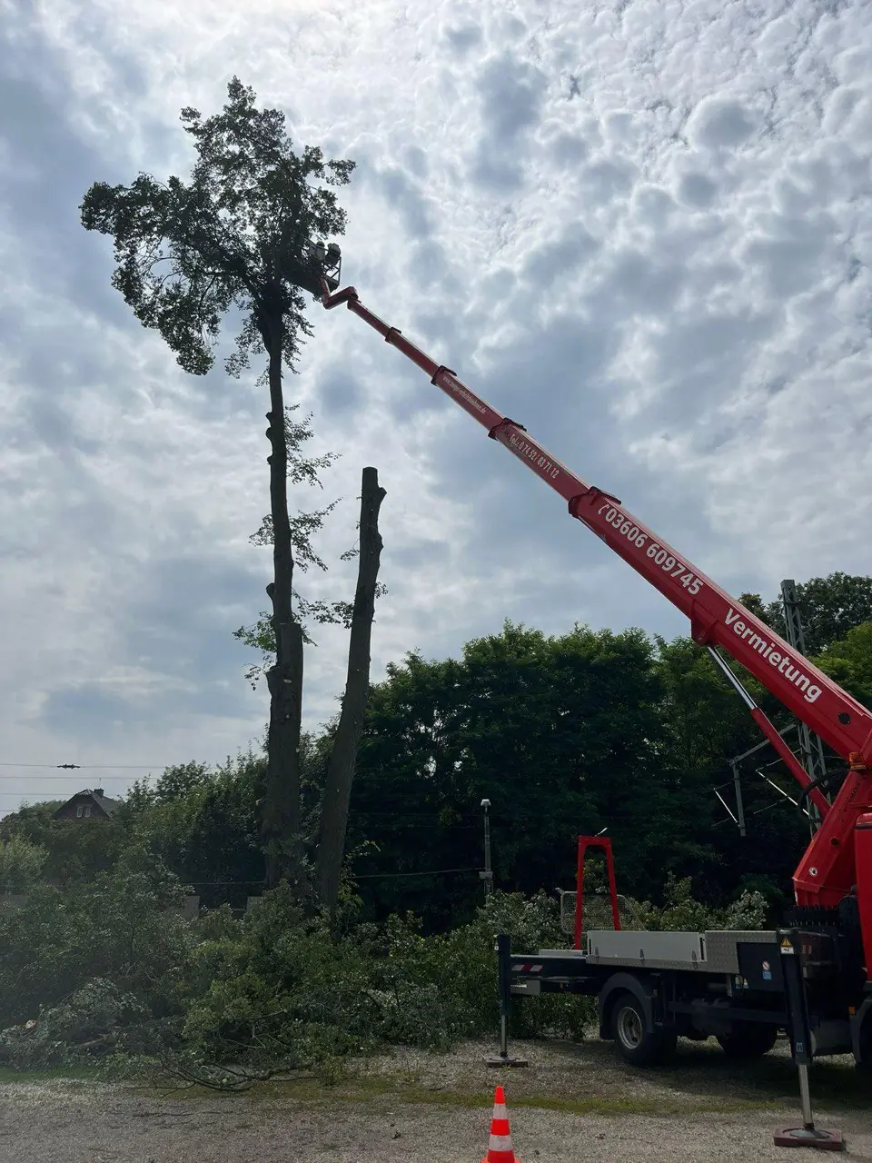 Hebebühne an einem hohen Baum hinter einem Wohnhaus