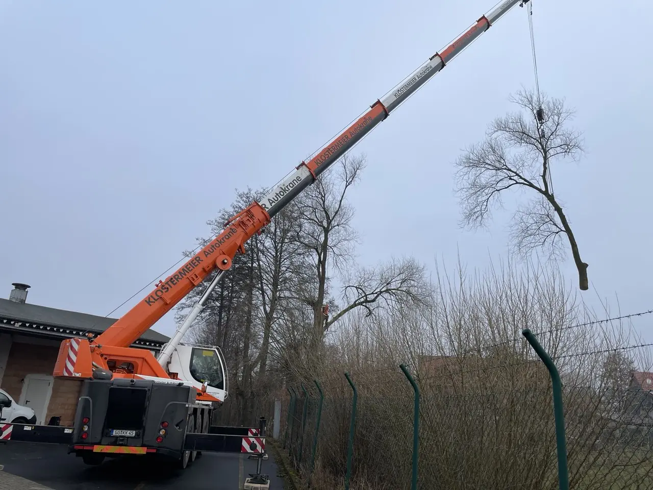 Kranwagen hebt einen Baumabschnitt über den Zaun