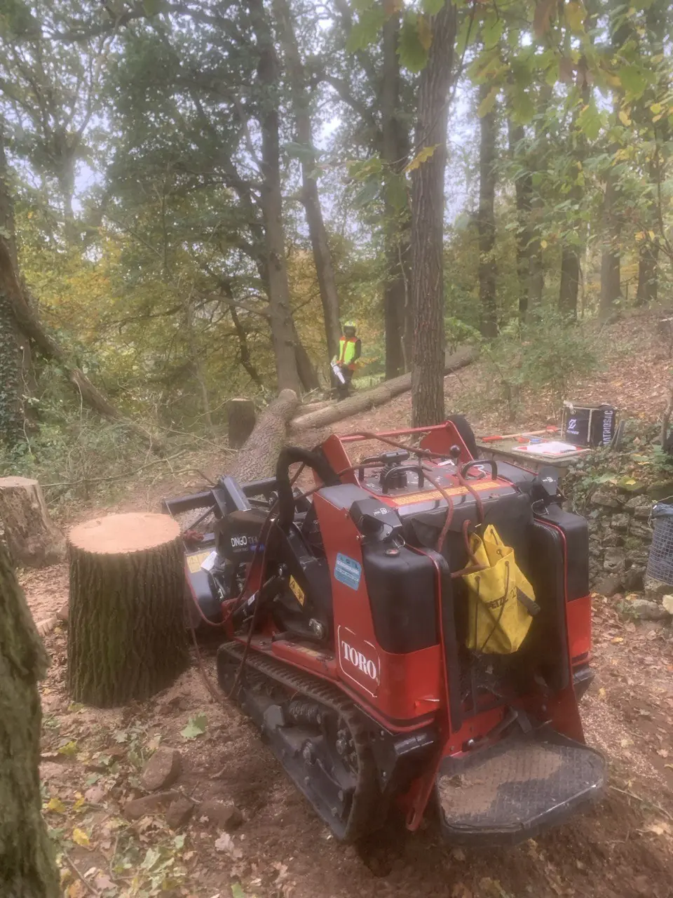 Raupen-Stubbenfräse neben einem Baumstumpf im Wald